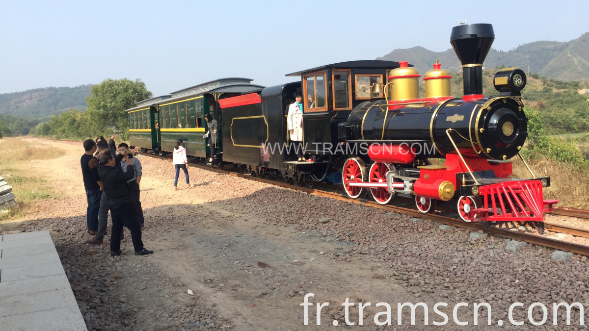 sightseeing train ancient style for photo